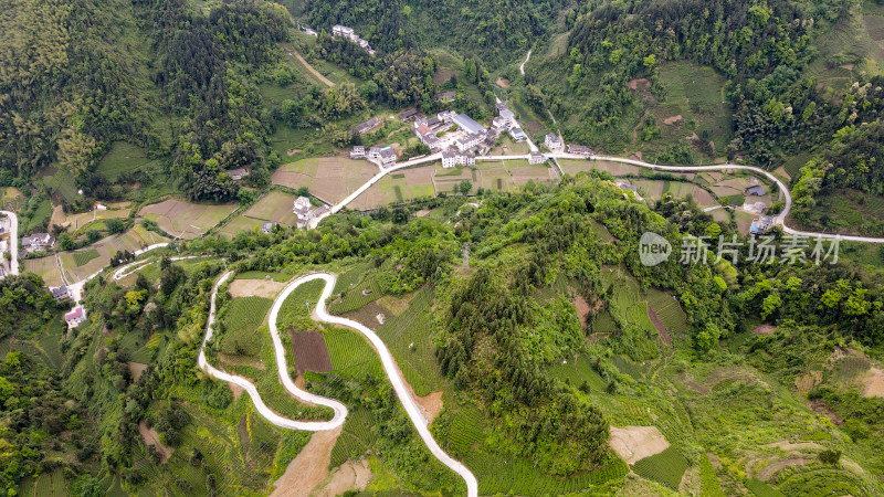 大山山峰农村农业农民茶园