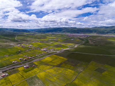 藏地乡村民居油菜花航拍全景图