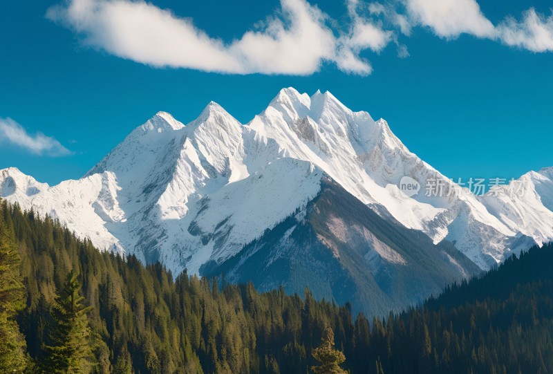 雪山高原草原森林风景