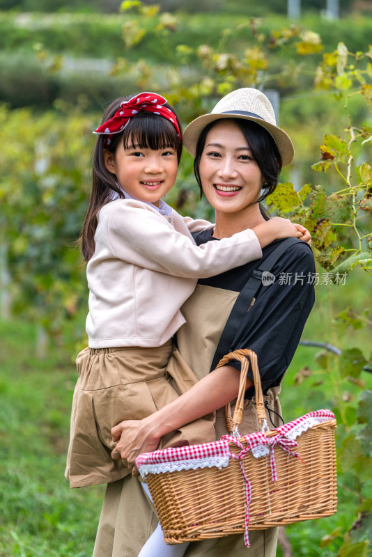 快乐的母女在果园采摘葡萄