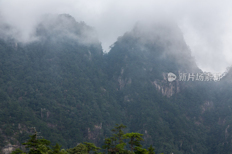 云海中的大明山