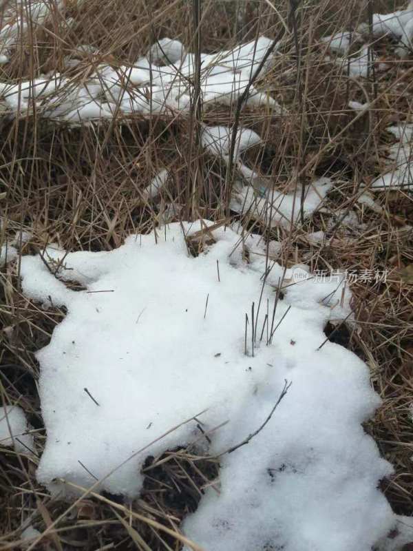 枯草上覆盖着白雪的冬季景象