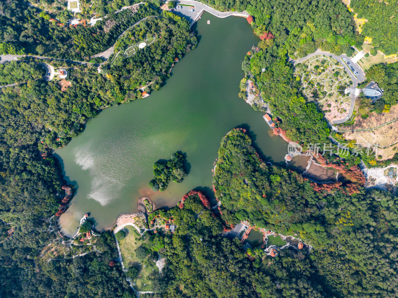 深圳仙湖植物园