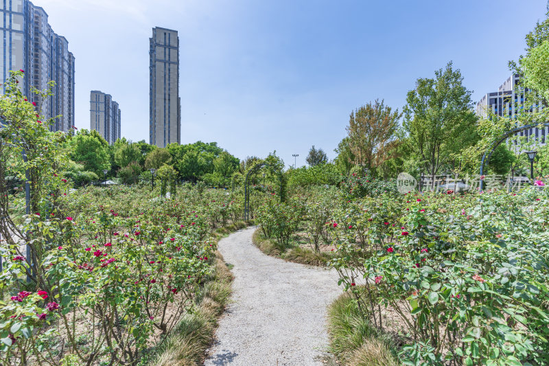 武汉洪山区杨春湖公园风景