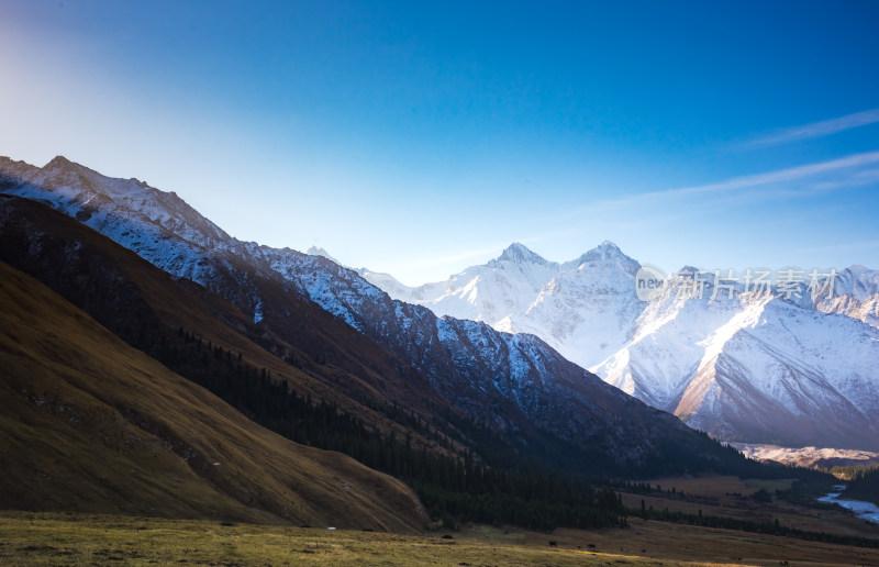 雪山清晨第一缕阳光照在金色的草地上