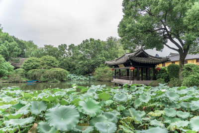 绍兴沈园中式园林风景