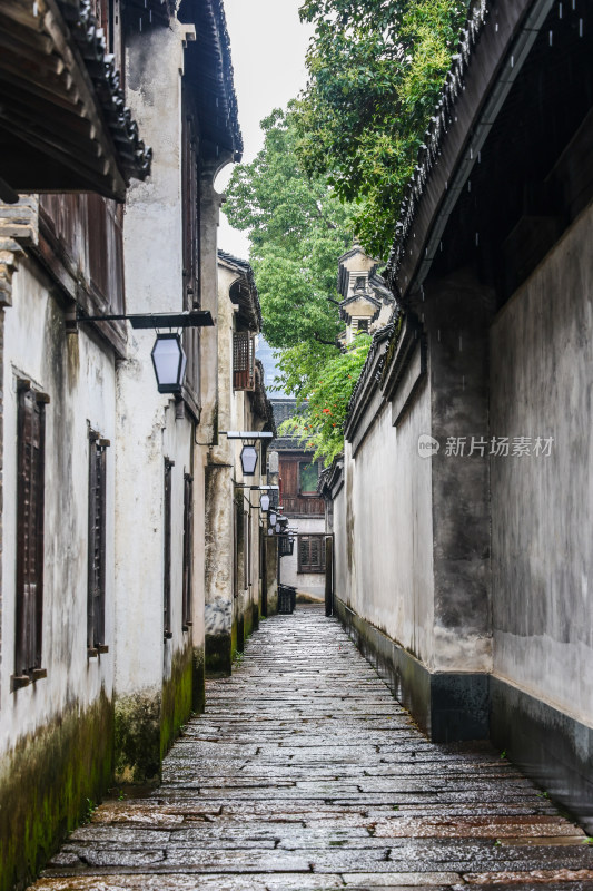 梅雨季的乌镇西栅美景