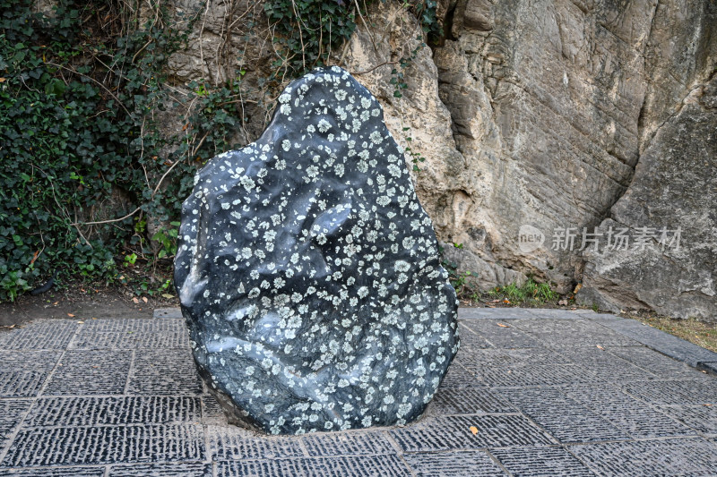 河南洛阳龙门石窟佛像造像