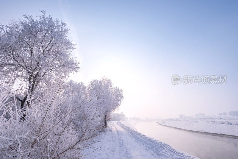 冬季雪景