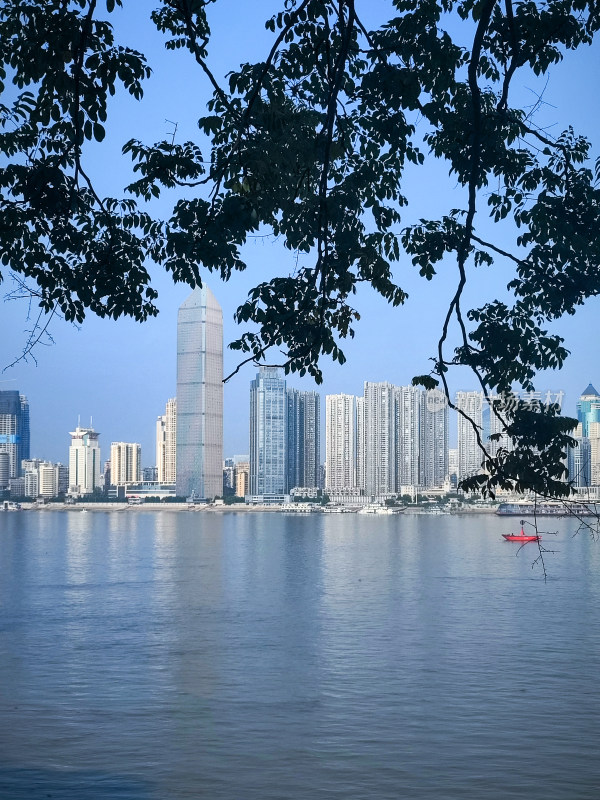 水边林立的现代化城市高楼群的景象