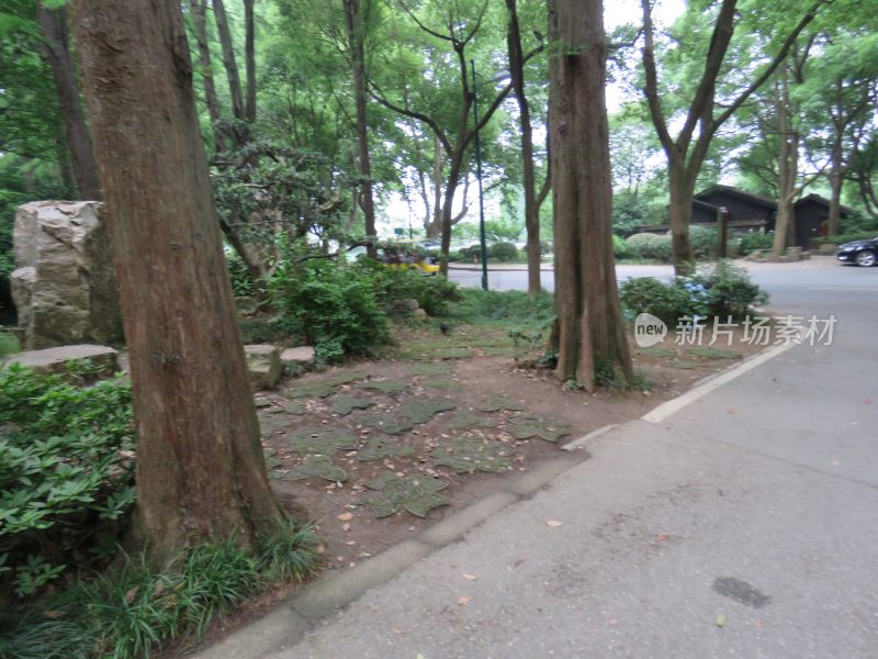 江苏无锡太湖鼋头渚风景区