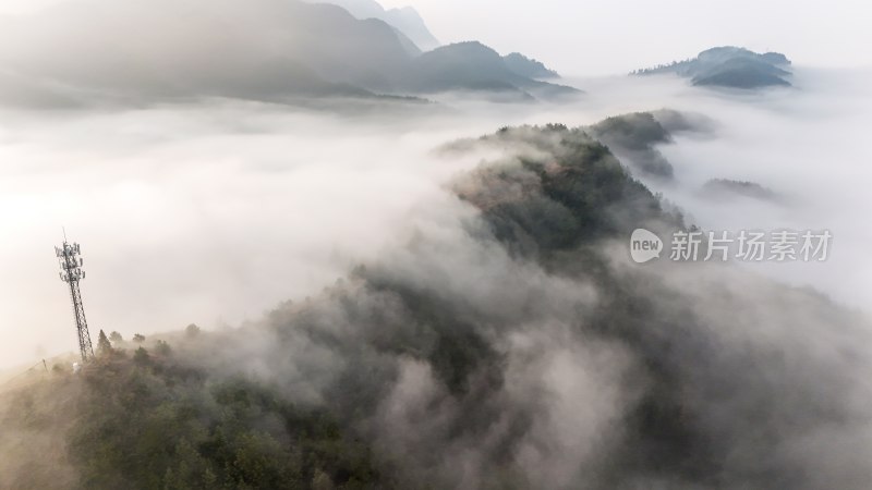 重庆酉阳：月亮村的云端仙境