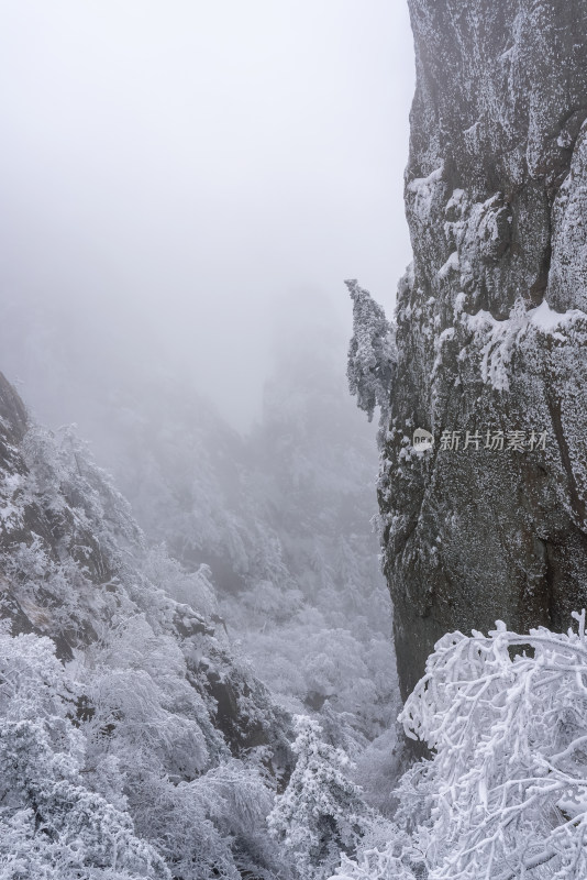 寒冷冬季大雪冰冻雾凇