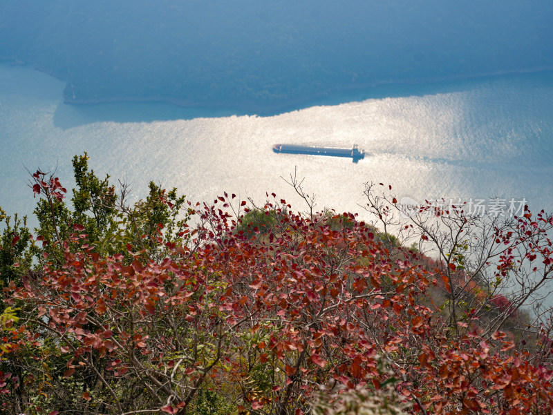 长江三峡巫峡红叶