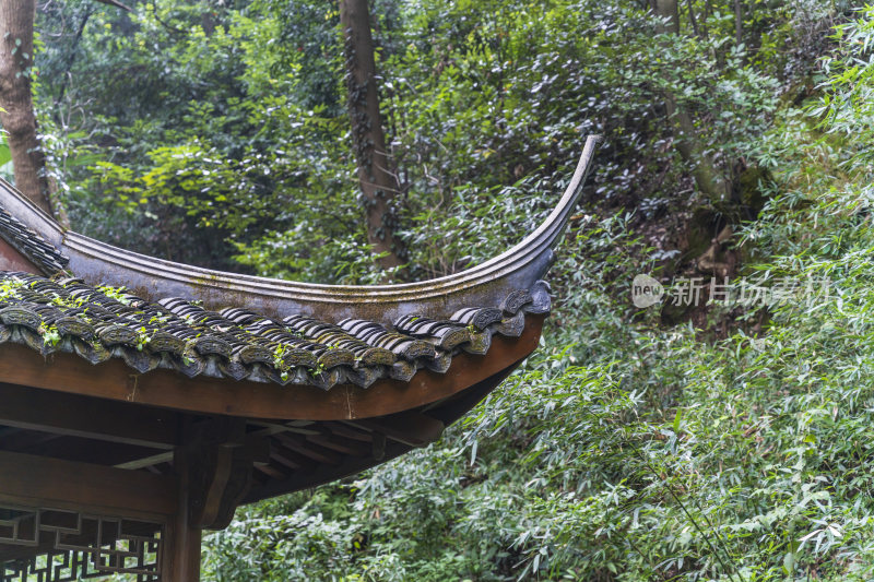 杭州三台山留馀山居风景