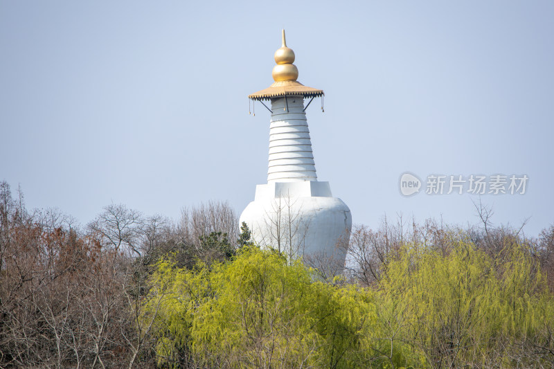 江苏省扬州市瘦西湖风景区白塔春日风光