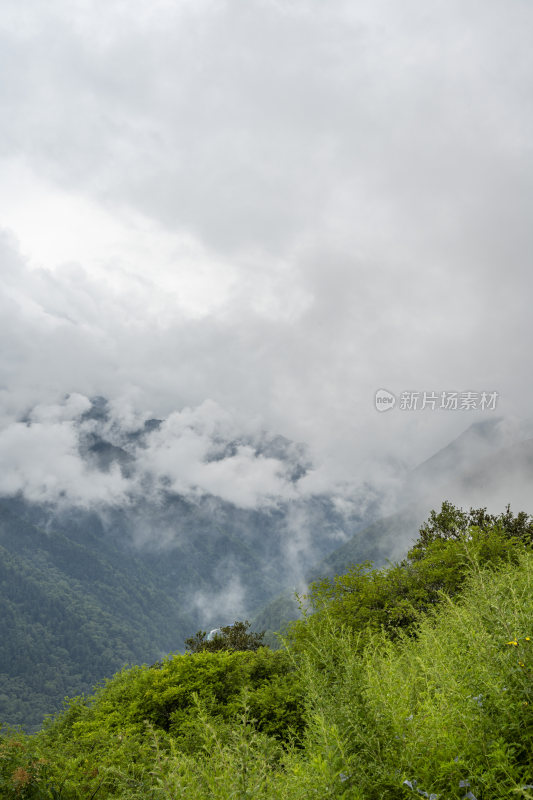 四川四姑娘山双桥沟自然风景