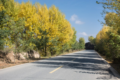 秋天的乡村公路