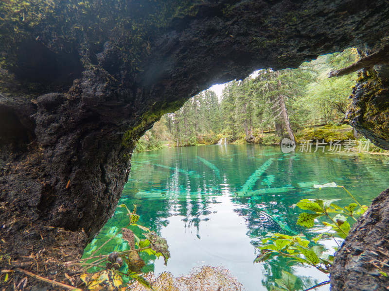 静谧的森林与湖景