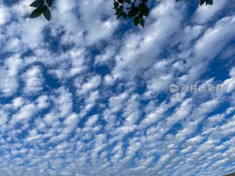 蓝天白云晴空万里的美丽天空景象