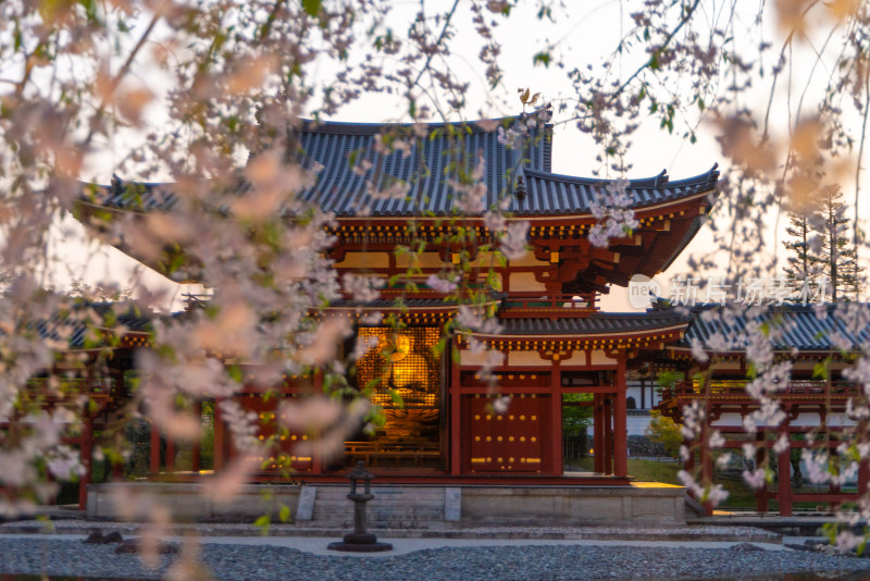 日本京都寺庙