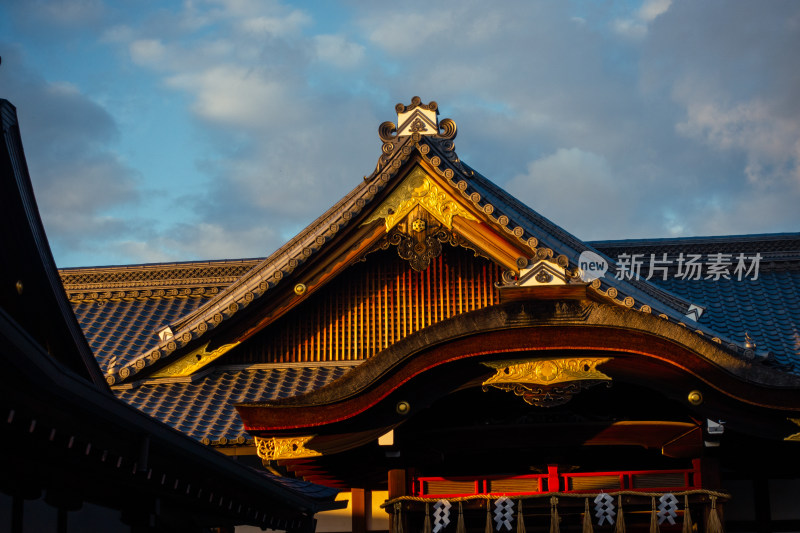 寺庙 建筑 日式 庭院 金光