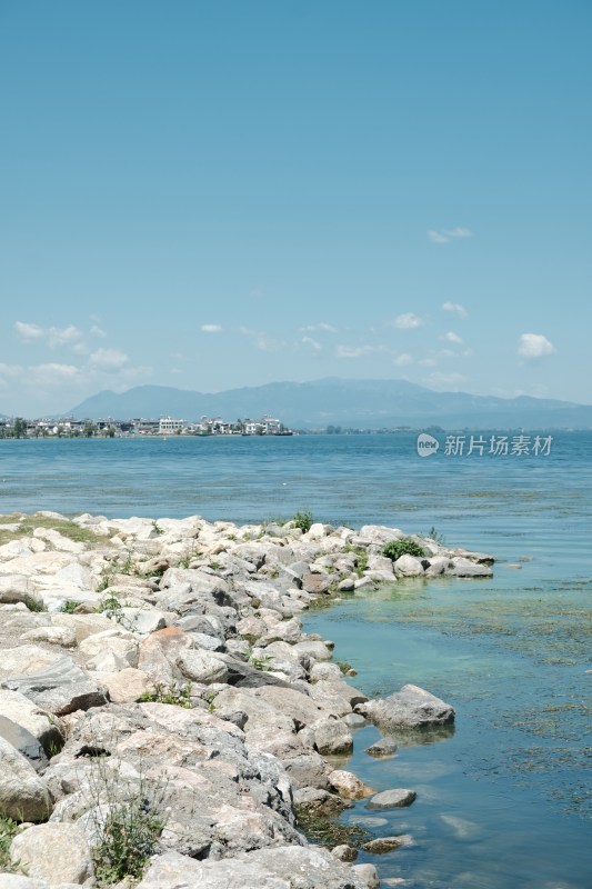 湖边枯树与湖水蓝天景象