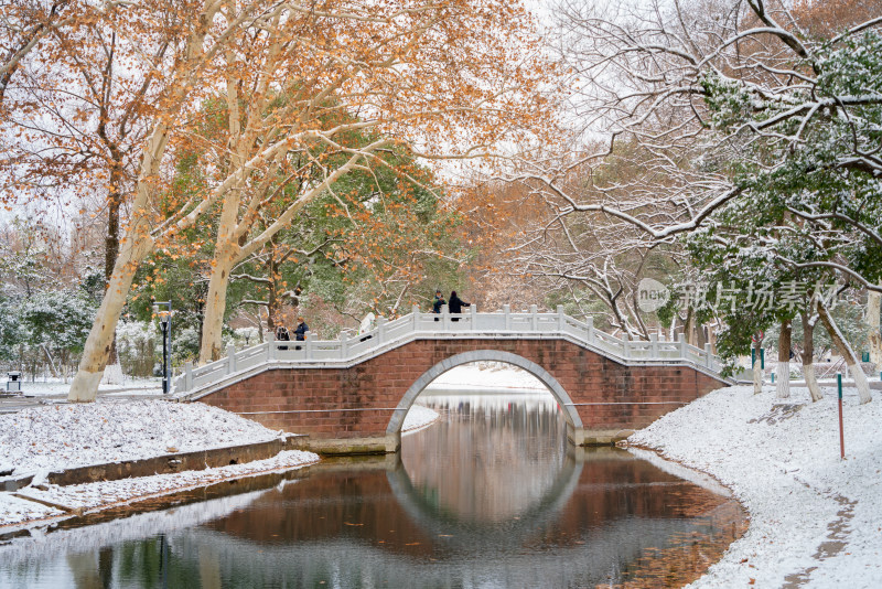 武汉冬天解放公园雪景