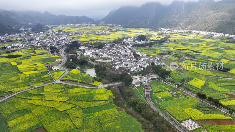 航拍油菜花盛开  美丽乡村