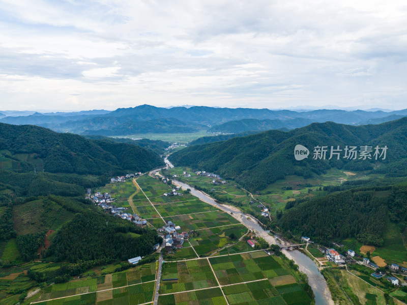 航拍武夷山绿色农田与茶园