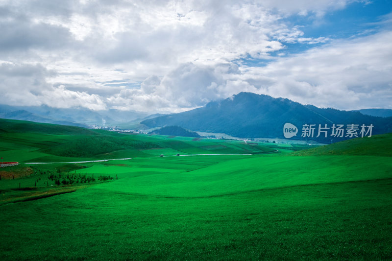 青海省祁连山风景