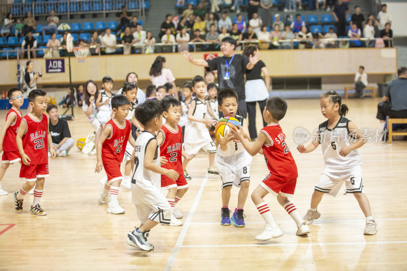 丽水市幼儿园篮球比赛