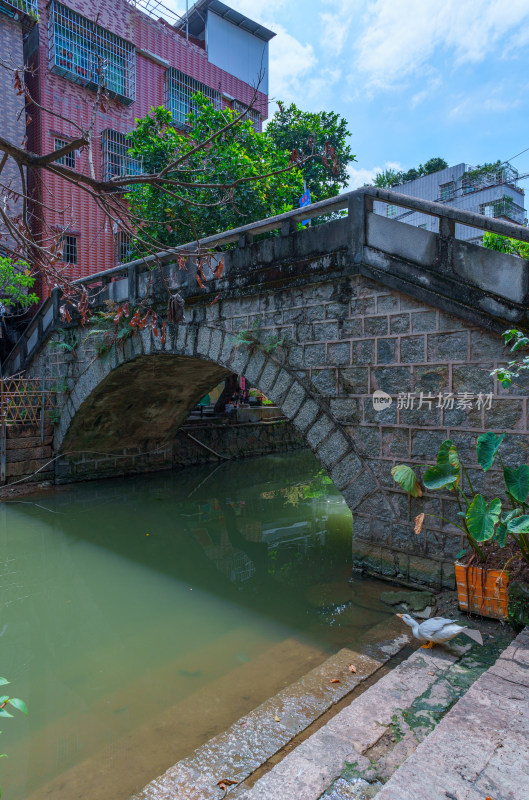 广州海珠小洲村街道景观与河涌水道石桥