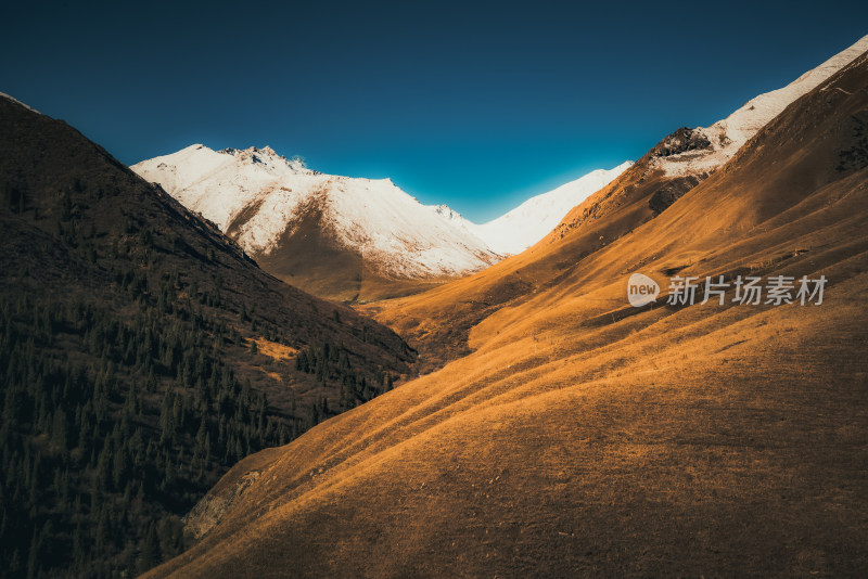 新疆天山山脉雪山河谷牧场自然风景