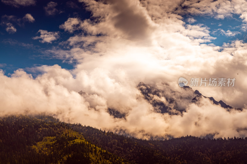 云雾中的森林山峰虎头山