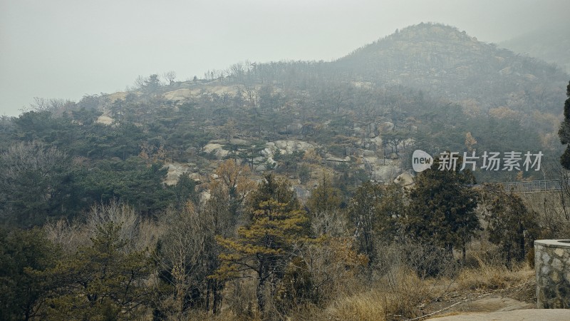 新甫山山脉