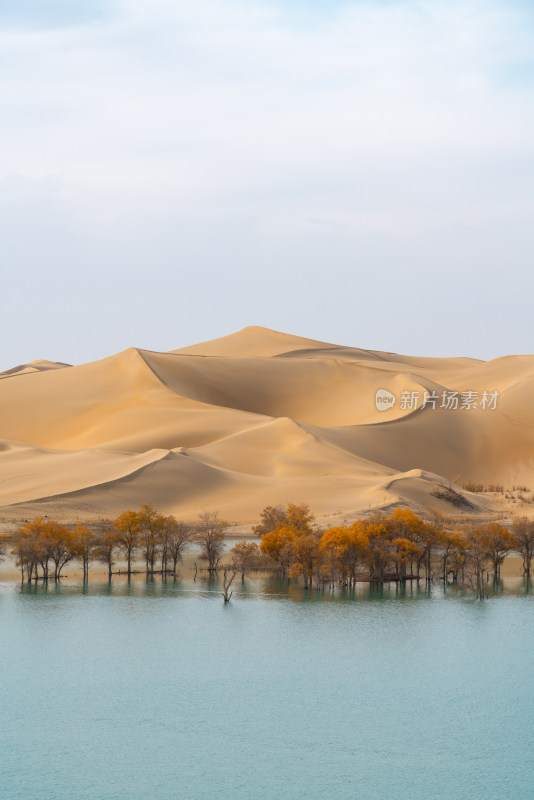 秋天的新疆尉犁县葫芦岛风景