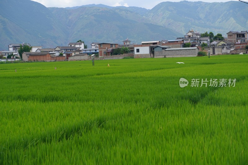 田野乡村与远山风景