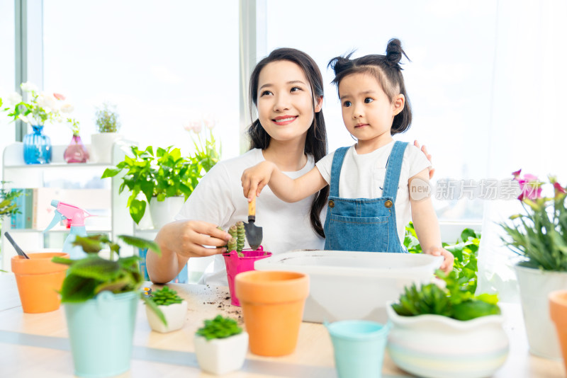 快乐的母女俩在家种植盆栽