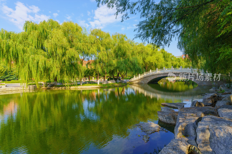 大学校园风景