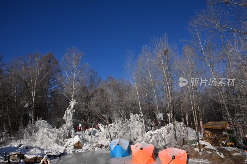 冰雪覆盖树林中的多彩帐篷景象