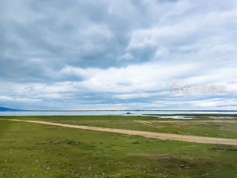 六月的青海湖风景