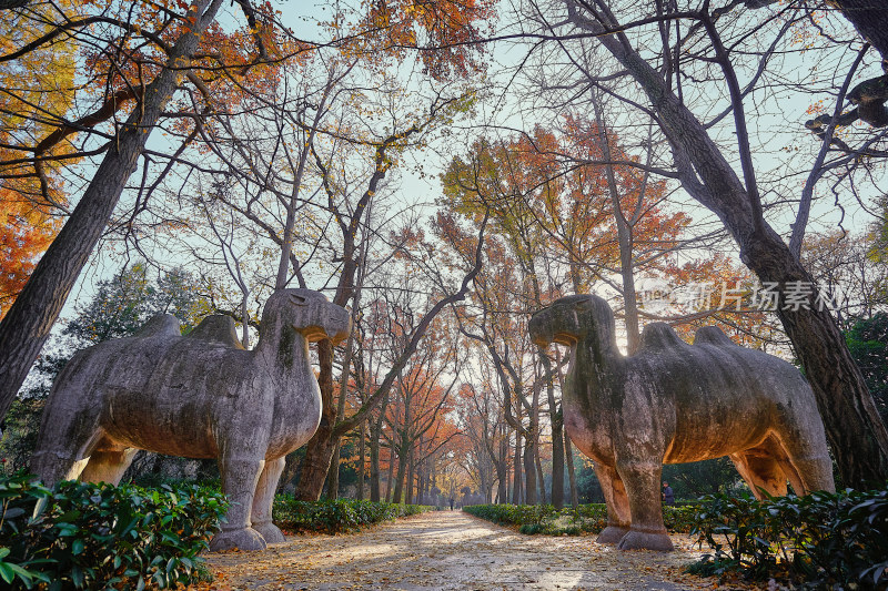 南京中山石像路