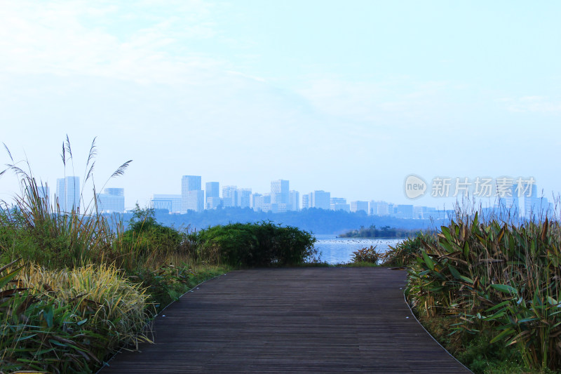 天府新区兴隆湖畔成都科创生态岛冬日风光