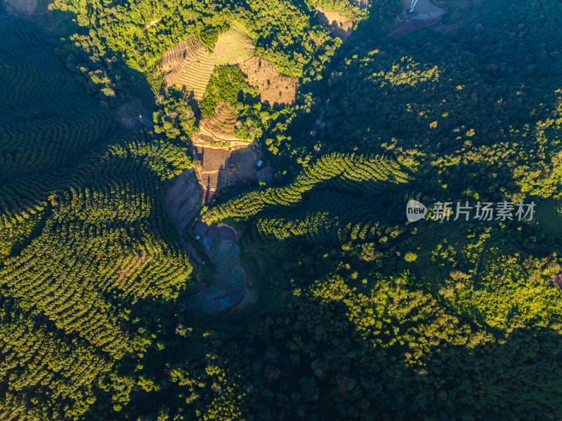 航拍层峦叠嶂的绿色山脉自然景观