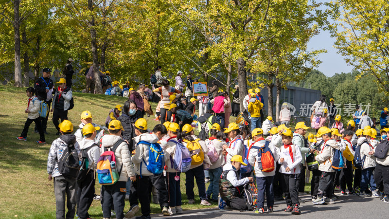 武汉园博园秋天银杏树下集体活动的小学生