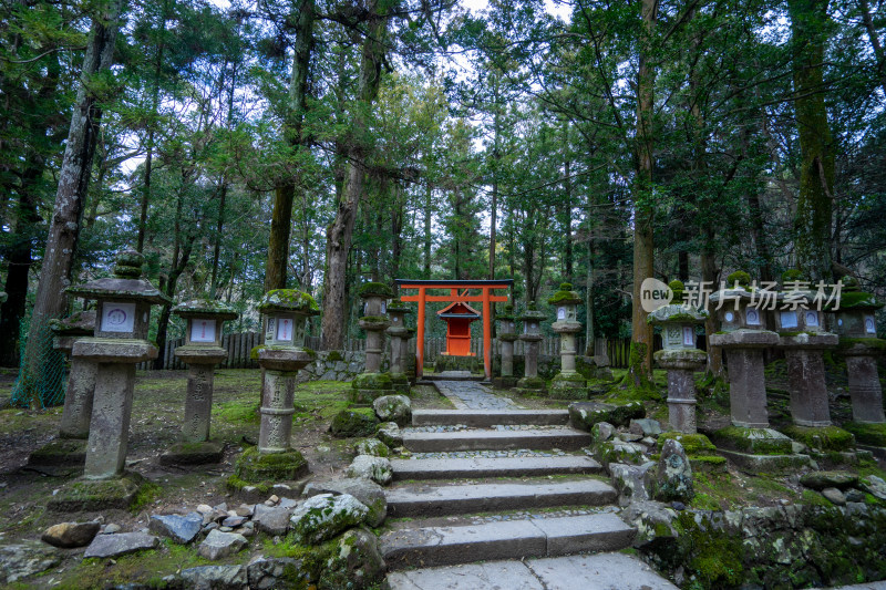 森林中的日式神社古迹