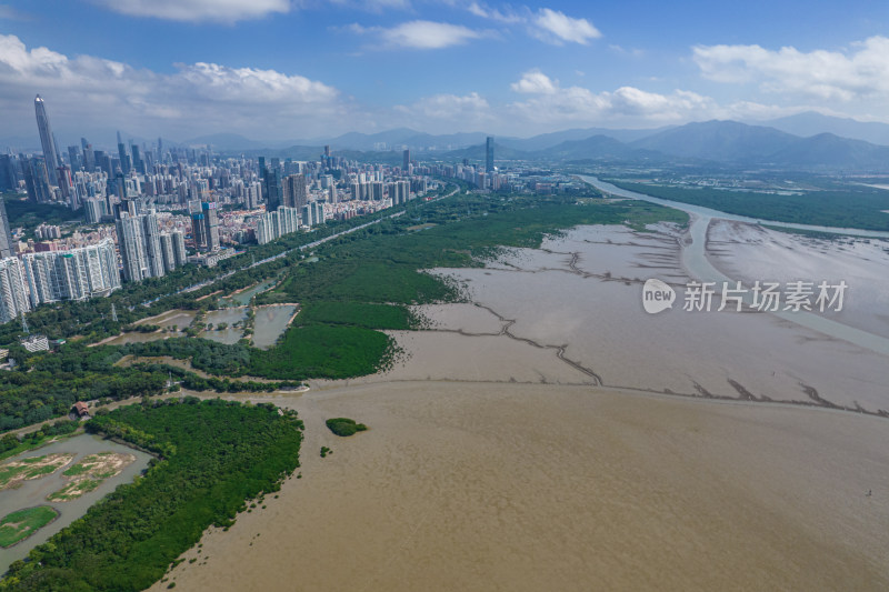 深圳市福田红树林保护区