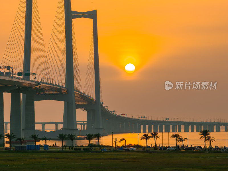 深圳中山翠亨新区深中大桥车流夜景日出航拍