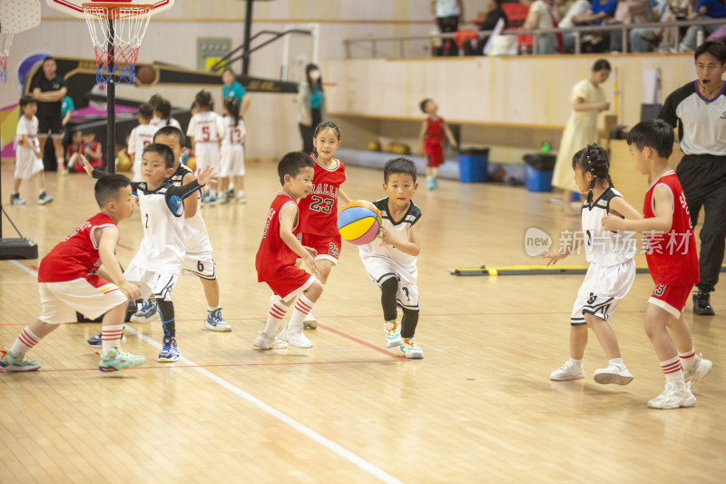 丽水市幼儿园篮球比赛